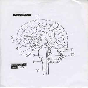 Moviola 7 inch Cover